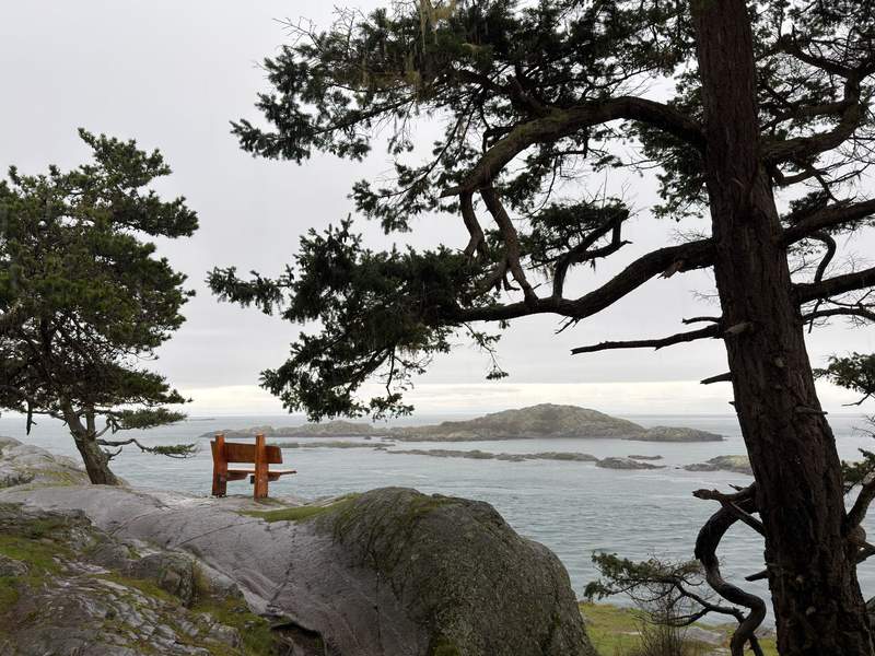 Washington’s San Juan Islands Solo Travel Guide