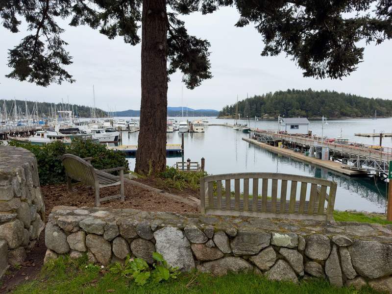 Two wooden benches sit beneath evergreen trees overlooking boats docked at the marina and the calm waterfront at Fairweather Park in Friday Harbor.