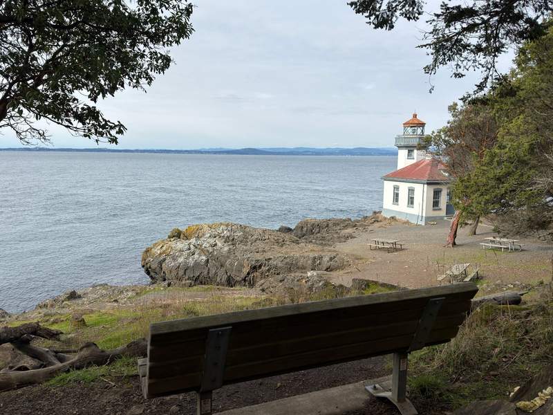 A wooden bench faces Lime Kiln Lighthouse, surrounded by evergreens and overlooking the expansive Salish Sea on San Juan Island.