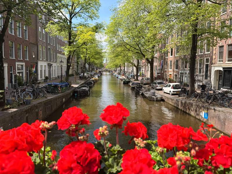 Bright red flowers frame a tree-lined Amsterdam canal filled with small boats, bicycles and historic brick homes on a sunny day.