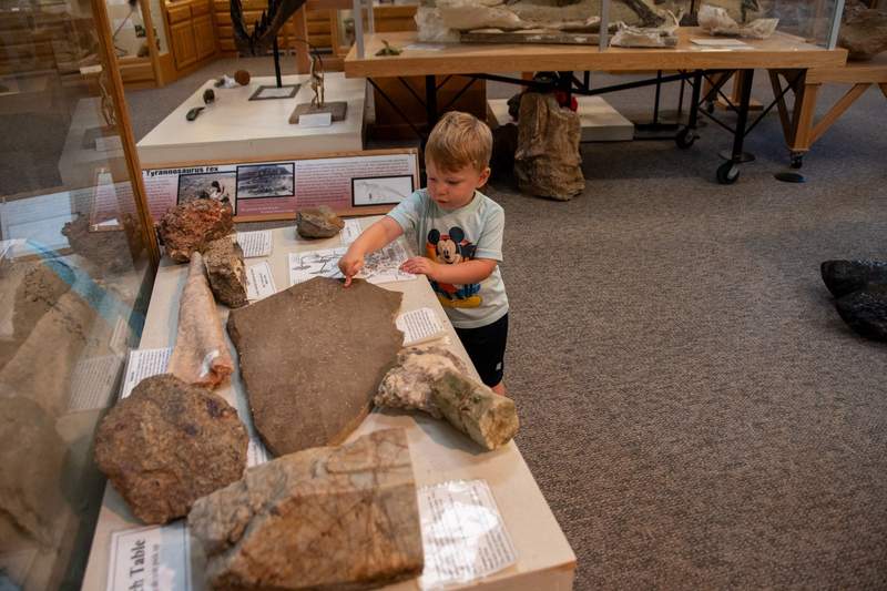 My son touching rocks and fossils at the Tate Geological Museum in Casper. Photo credit: Phylicia Stitzel