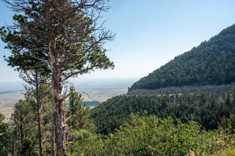 Enjoying the overlook from one of the many places to explore Casper Mountain