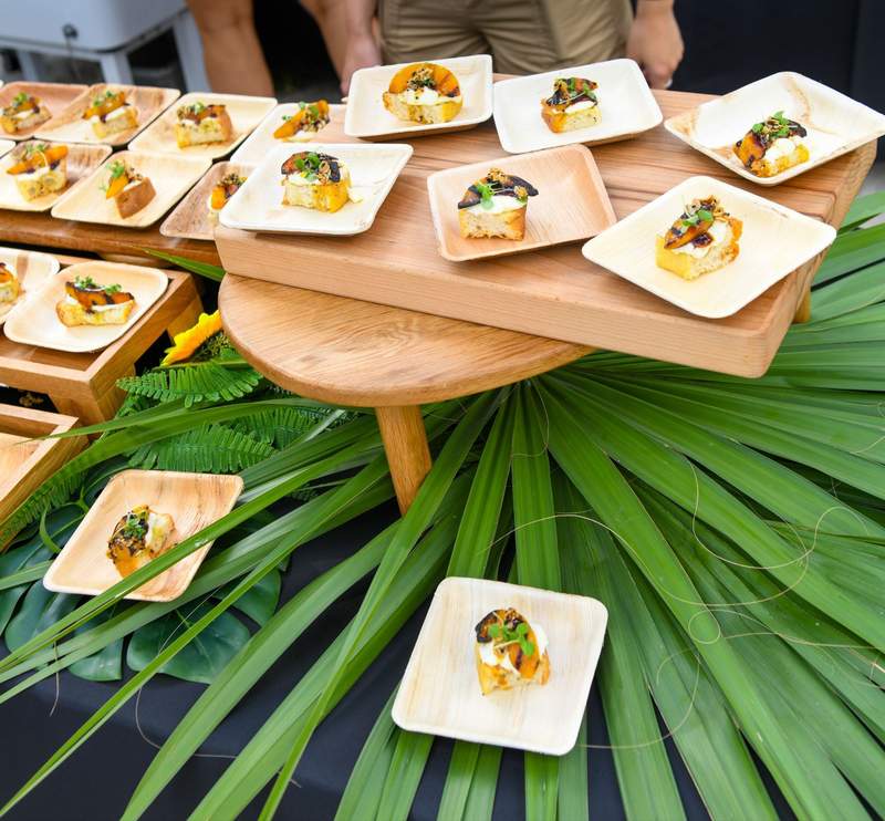 A selection of delicious-looking samples from Taste Restaurant & Bar displayed on a table with green plants and foliage.