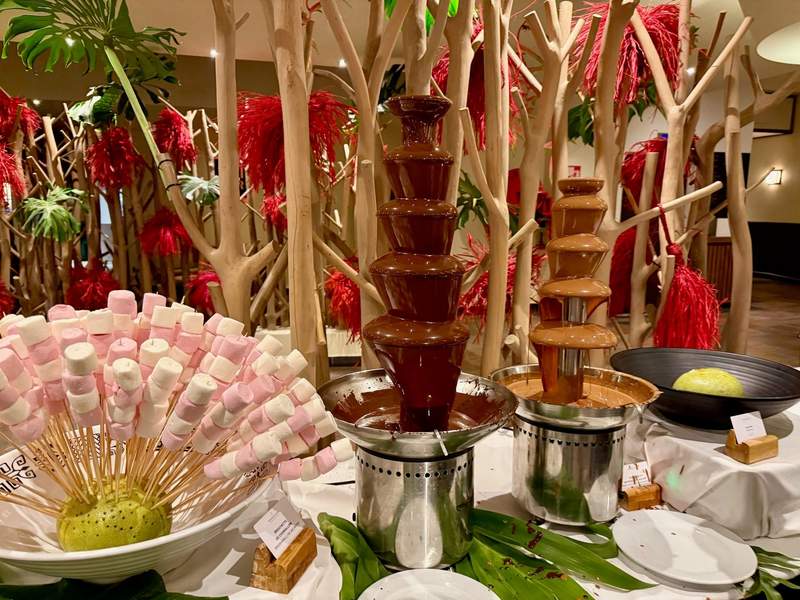 Buffet dessert table with chocolate fountains, marshmallows and other sweets