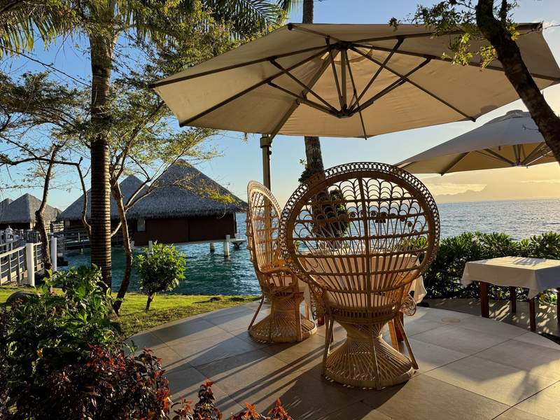 Peacock backed rattan chairs under an umbrella  facing out over the beach at sunset.