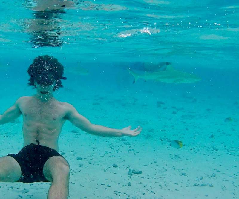 Author's son posing for a photo with some blacktip reef sharks.