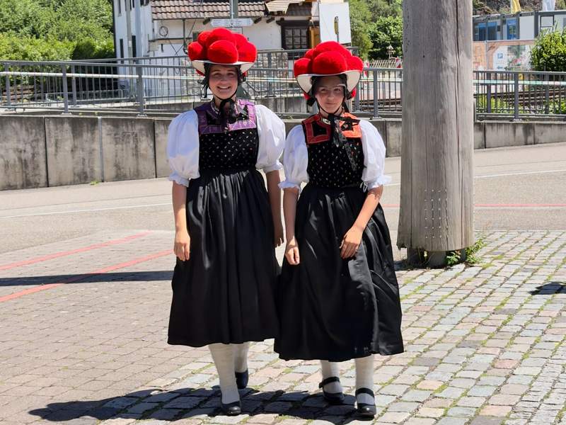 Trafalgar River Cruises: What to Know Before Booking the Verity on the Rhine