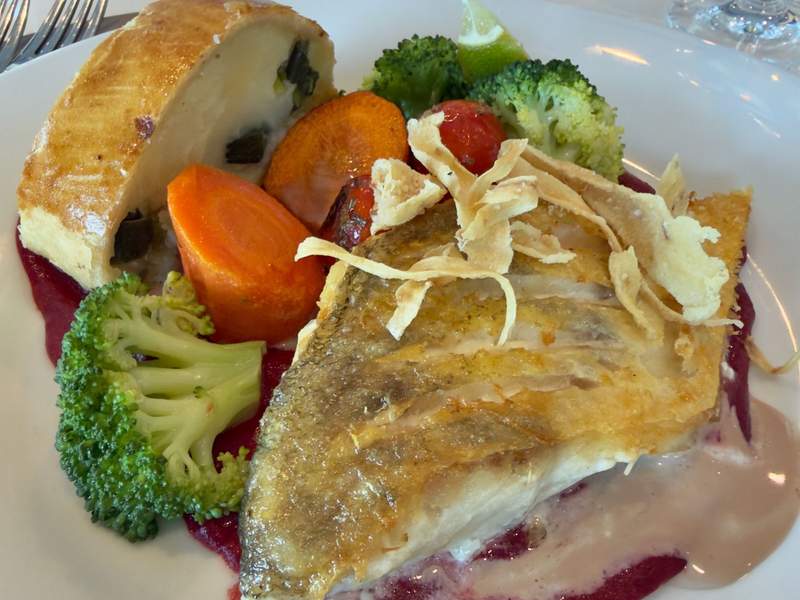 Orange carrots, green broccoli, strudel and fish over raspberry sauce.