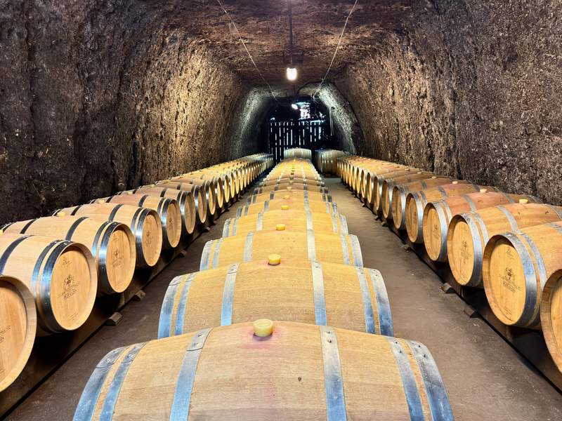Rows of wooden wine barrels line three aisles inside a long underground stone cellar with rough, curved rock walls and a low ceiling lit by hanging lights