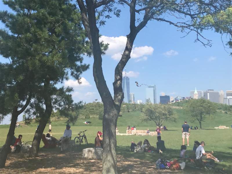 People relaxing and enjoying a sunny day on a grassy park hill, framed by the trunks of trees in the foreground with a city skyline visible in the distance