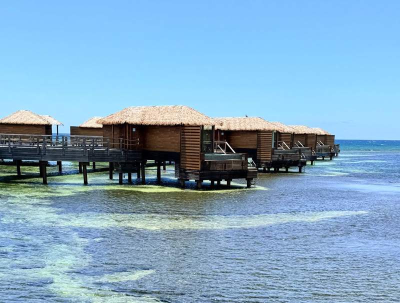 Luxury overwater villas at Princess Senses The Mangrove in Green Island, Jamaica extending over the turquoise Caribbean Sea with thatched roofs, private infinity pools and direct water access.