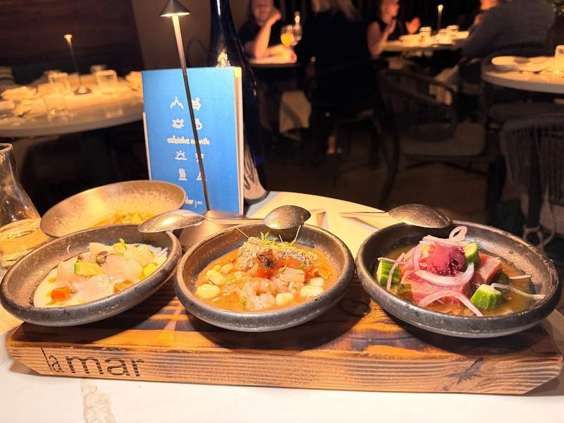 How to Spend a Mouthwatering Solo Weekend in Bellevue, Washington (Pisco, Cebiche, and Corgi Included!)