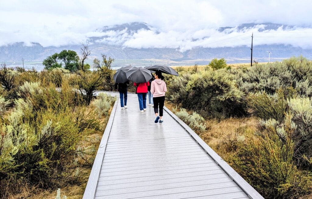 people walking along a boardwalk under umbrellas on a rainy day at the Osoyoos Desert Centre.