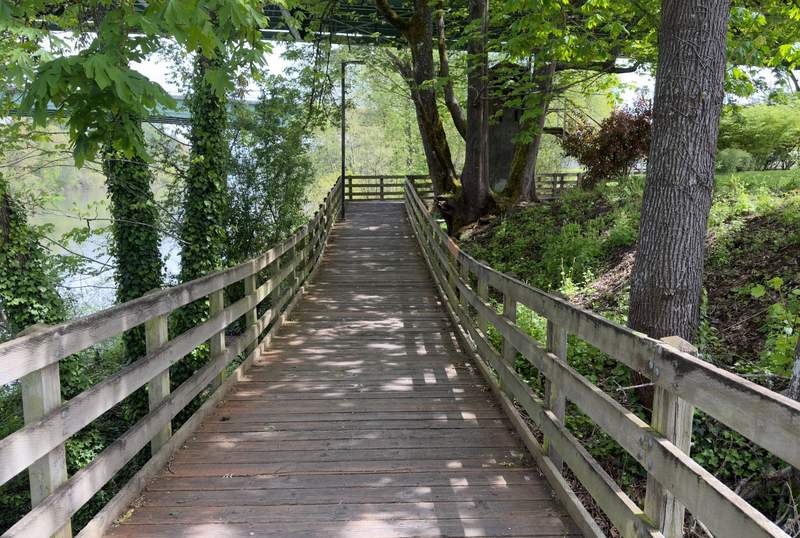 Wooden boardwalk winding through trees beside the Willamette River in Albany Oregon