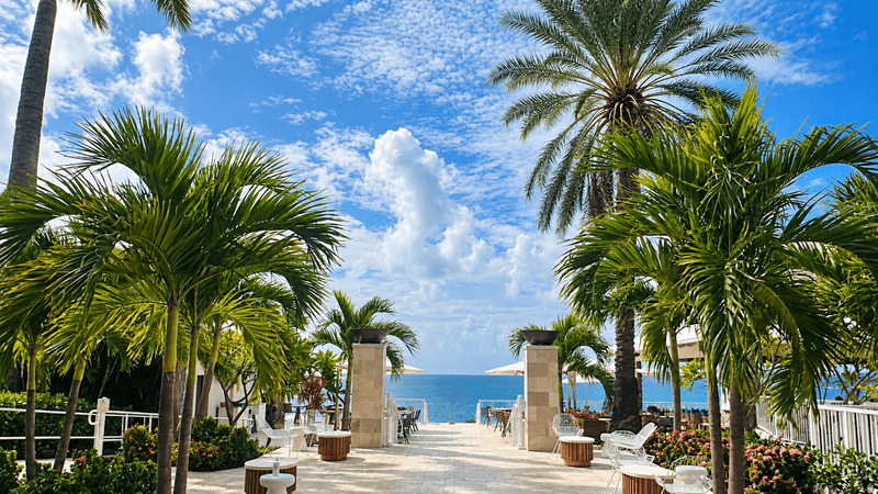 Palm-lined terrace overlooking the Caribbean Sea at The Westin St. Thomas Beach Resort & Spa.