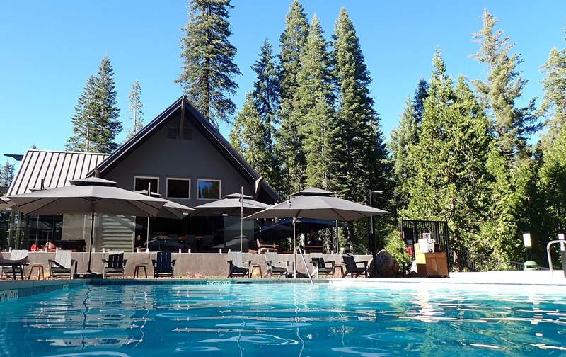 A large pool with an A-framed pool house behind sits next to pine trees near Yosemite National Park