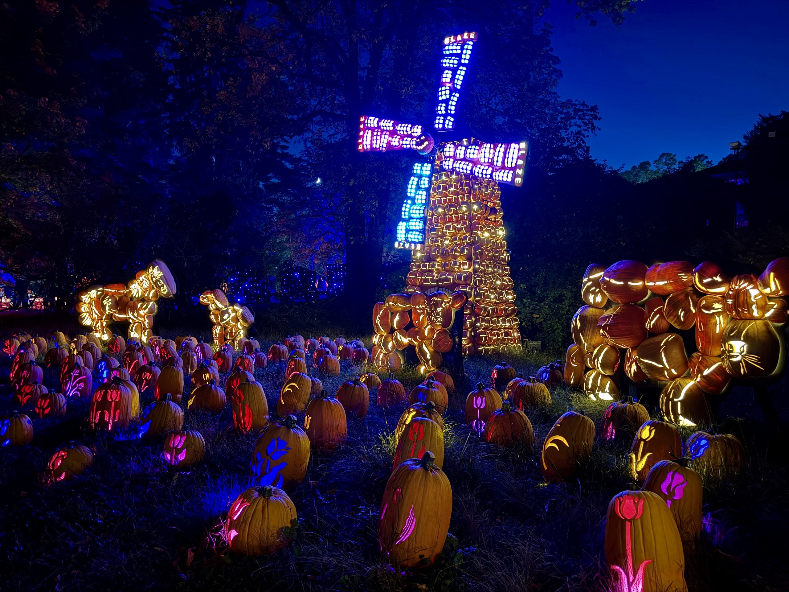 Windmill and animals made of pumpkins at The Blaze Halloween event in Sleepy Hollow