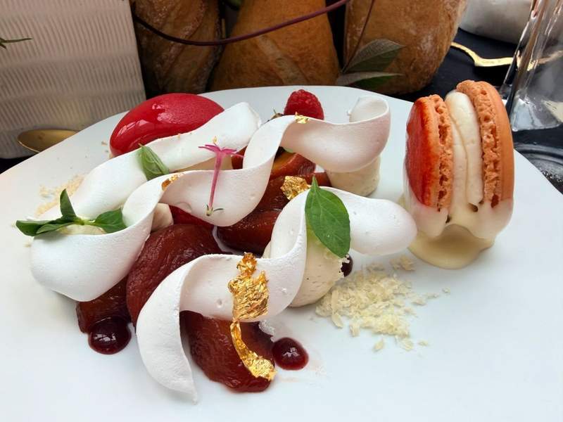 Artfully plated dessert at IDC in Grand Rapids featuring fruit, delicate white meringue ribbons, gold leaf, fresh herbs, and a colorful macaron.