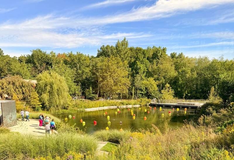 Landscaped pond at Frederik Meijer Gardens & Sculpture Park in Grand Rapids with colorful floating sculptures, lush greenery, walking paths, and a pedestrian bridge.
